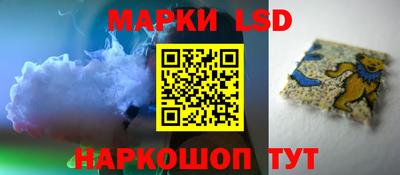 spice Новозыбков