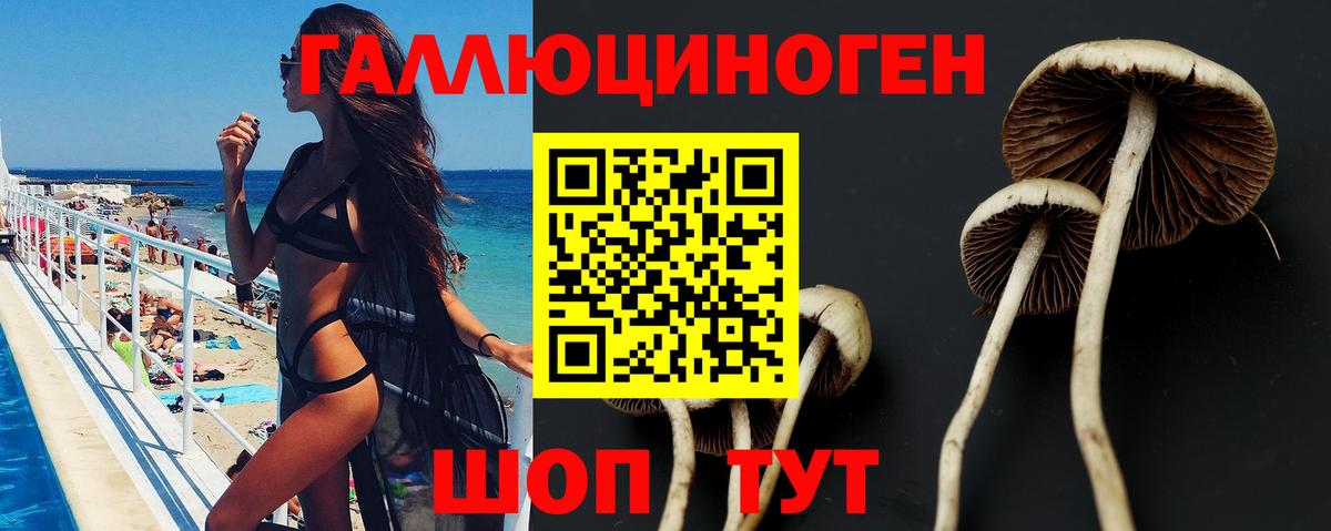Галлюциногенные грибы Psilocybe Соль-Илецк
