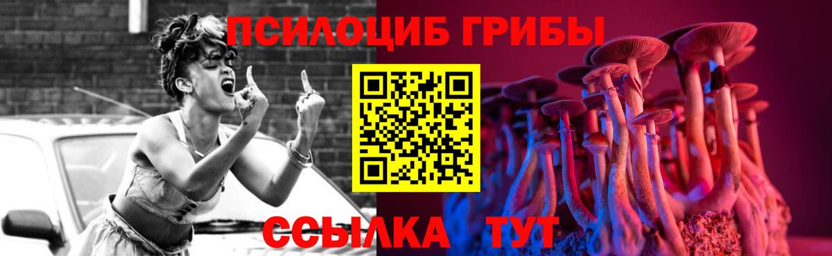 Соль-Илецк  Псилоцибиновые грибы Psilocybe  Вход с VPN 